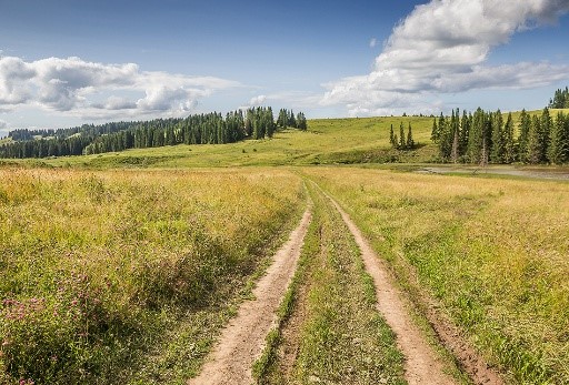 свадебные конкурсы